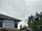 Bikin Heboh, Seekor Kera Tiba Tiba Muncul di Kantor Kecamatan Mauk Bikin Heboh, Seekor Kera Tiba Tiba Muncul di Kantor Kecamatan Mauk