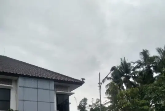 Bikin Heboh, Seekor Kera Tiba Tiba Muncul di Kantor Kecamatan Mauk Bikin Heboh, Seekor Kera Tiba Tiba Muncul di Kantor Kecamatan Mauk