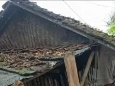 Wabup Tangerang Atensi RTLH di Pakuhaji, Camat Diminta Segera Lakukan Survei Wabup Tangerang Atensi RTLH di Pakuhaji, Camat Diminta Segera Lakukan Survei