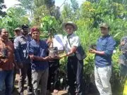 Dorong Semangat Petani, Pater Marsel Agot Beri Bantuan Anakan Tanaman Buah Buahan Kepada Masyarakat Desa Golo Lajang Barat