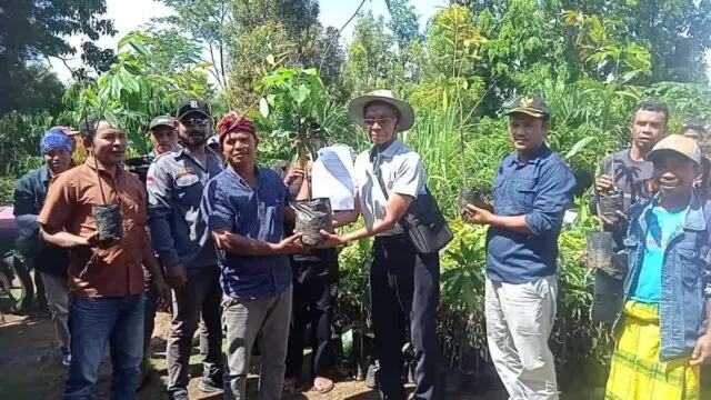 Dorong Semangat Petani, Pater Marsel Agot Beri Bantuan Anakan Tanaman Buah Buahan Kepada Masyarakat Desa Golo Lajang Barat Dorong Semangat Petani, Pater Marsel Agot Beri Bantuan Anakan Tanaman Buah Buahan Kepada Masyarakat Desa Golo Lajang Barat