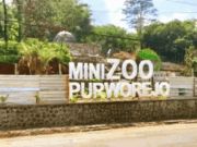 Meski Terbengkalai, Mini Zoo Purworejo Masih Habiskan Rp195 Juta Setiap Tahun