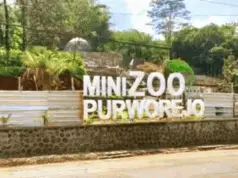 Meski Terbengkalai, Mini Zoo Purworejo Masih Habiskan Rp195 Juta Setiap Tahun Meski Terbengkalai, Mini Zoo Purworejo Masih Habiskan Rp195 Juta Setiap Tahun