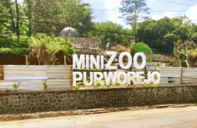 Meski Terbengkalai, Mini Zoo Purworejo Masih Habiskan Rp195 Juta Setiap Tahun
