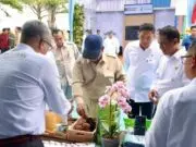 Presiden Dorong PTPN Tingkatkan Produktivitas Gambir Rakyat, Hilirisasi Dinilai Jadi Kunci Nilai Tambah Presiden Dorong PTPN Tingkatkan Produktivitas Gambir Rakyat, Hilirisasi Dinilai Jadi Kunci Nilai Tambah