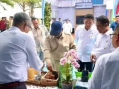 Presiden Dorong PTPN Tingkatkan Produktivitas Gambir Rakyat, Hilirisasi Dinilai Jadi Kunci Nilai Tambah