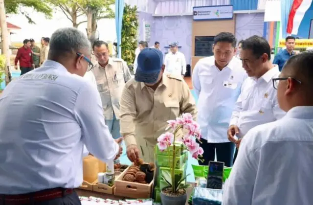 Presiden Dorong PTPN Tingkatkan Produktivitas Gambir Rakyat, Hilirisasi Dinilai Jadi Kunci Nilai Tambah Presiden Dorong PTPN Tingkatkan Produktivitas Gambir Rakyat, Hilirisasi Dinilai Jadi Kunci Nilai Tambah