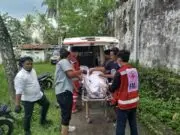 Pejalan Kaki Tertemper KA Barang di Jalur Butuh–Kutoarjo, KAI Daop 5 Kembali Ingatkan Bahaya Beraktivitas di Rel Pejalan Kaki Tertemper KA Barang di Jalur Butuh–Kutoarjo, KAI Daop 5 Kembali Ingatkan Bahaya Beraktivitas di Rel