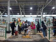 KAI Daop 5 Purwokerto Layani 4,35 Juta Penumpang Sepanjang 2025, Tumbuh 10 Persen KAI Daop 5 Purwokerto Layani 4,35 Juta Penumpang Sepanjang 2025, Tumbuh 10 Persen