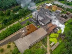 Produksi CPO PalmCo Tembus 2,7 Juta Ton, Produktivitas Lahan Terus Menguat Produksi CPO PalmCo Tembus 2,7 Juta Ton, Produktivitas Lahan Terus Menguat