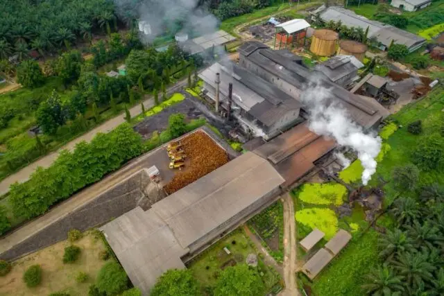 Produksi CPO PalmCo Tembus 2,7 Juta Ton, Produktivitas Lahan Terus Menguat Produksi CPO PalmCo Tembus 2,7 Juta Ton, Produktivitas Lahan Terus Menguat