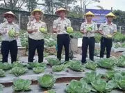 Panen Raya Hortikultura, Rutan Kelas IIB Ruteng NTT Sisihkan Sebagian Hasilnya Untuk Misi Kemanusiaan