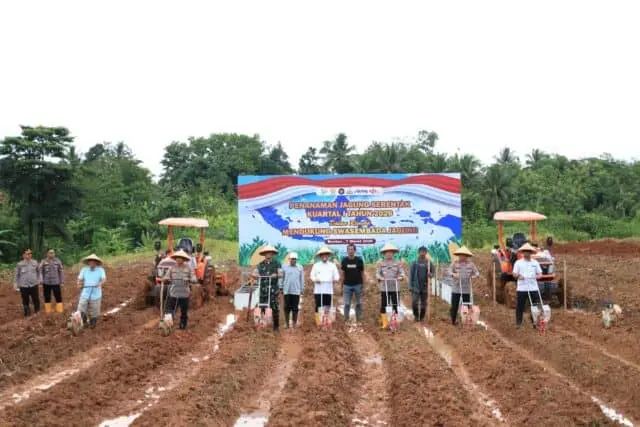 Dukung Swasembada Pangan Nasional, Polda Banten Tanam Raya Jagung Serentak Dukung Swasembada Pangan Nasional, Polda Banten Tanam Raya Jagung Serentak