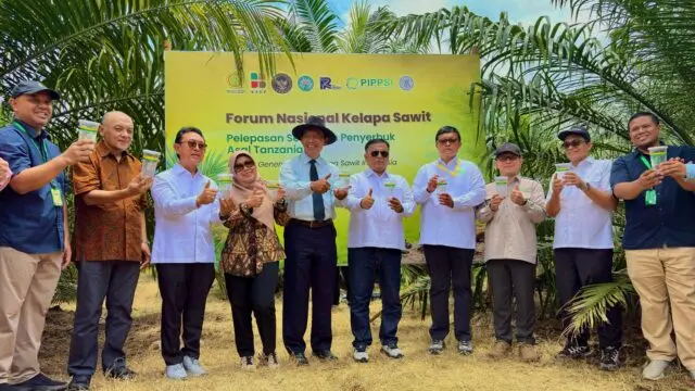 Serangga Penyerbuk dari Afrika Diuji di Simalungun, Upaya PalmCo Tingkatkan Produktivitas Sawit