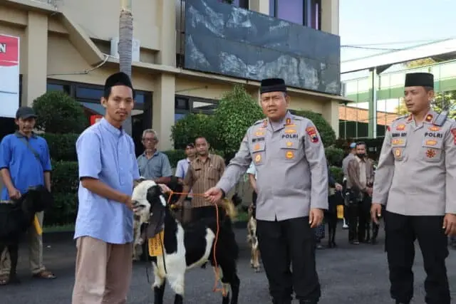 Polres Purworejo Tebar Kepedulian Iduladha, Salurkan Puluhan Hewan Kurban untuk Masyarakat Polres Purworejo Tebar Kepedulian Iduladha, Salurkan Puluhan Hewan Kurban untuk Masyarakat