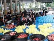 150 Ton Daging Kurban PTPN IV PalmCo Mengalir ke Pelosok Negeri