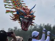 Pantai Ketawang Dipadati Ribuan Pengunjung, Festival Layang-Layang Nasional Bawa Berkah bagi UMKM