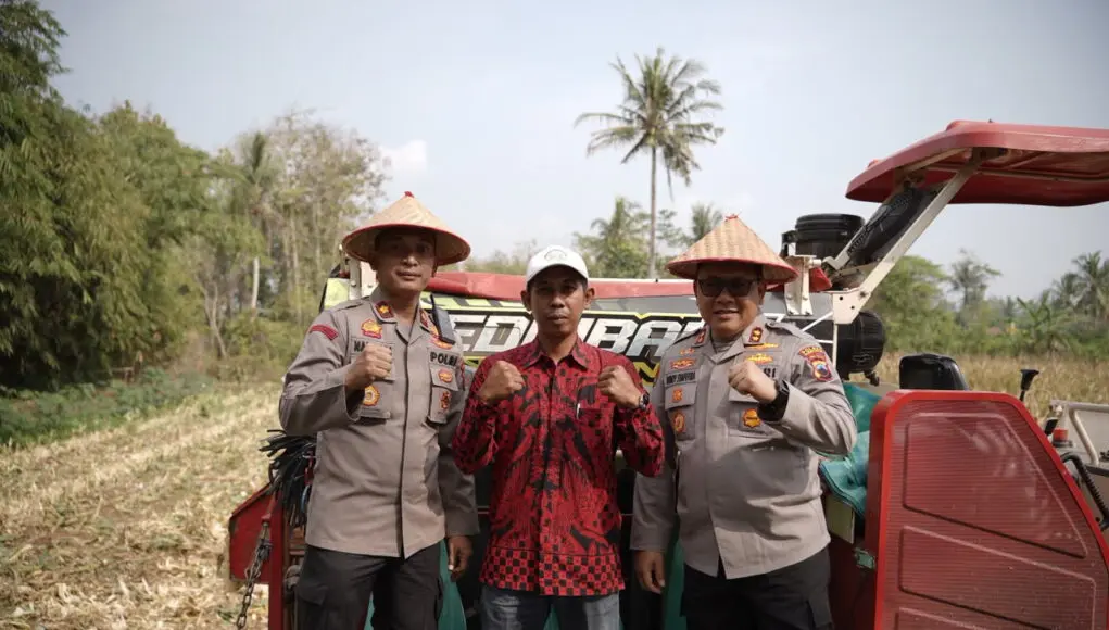 Panen Jagung di Kalimiru Tembus 4 Ton, Polres Purworejo Dorong Ketahanan Pangan dan Ekonomi Warga