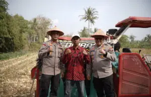 Panen Jagung di Kalimiru Tembus 4 Ton, Polres Purworejo Dorong Ketahanan Pangan dan Ekonomi Warga