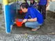 Sambut HUT ke-25, Demokrat Purworejo Gelar Aksi Sosial di Pantai Jatimalang