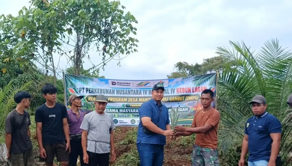 Tingkatkan Pendapatan Warga, PTPN IV PalmCo Salurkan Ribuan Bibit Nanas untuk Dua Desa di Jambi