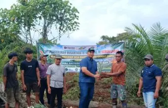 Tingkatkan Pendapatan Warga, PTPN IV PalmCo Salurkan Ribuan Bibit Nanas untuk Dua Desa di Jambi