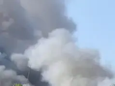 Diduga Dipicu Korsleting Mesin, Kebakaran Hanguskan Ratusan Mesin Tenun PT Unggulrejo Wasono