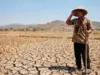 Suhu Panas Semakin Ekstrem Melanda Indonesia, Benarkah Sepenuhnya Ulah El Nino Ini Faktanya!