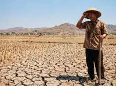 Suhu Panas Semakin Ekstrem Melanda Indonesia, Benarkah Sepenuhnya Ulah El Nino? Ini Faktanya! Suhu Panas Semakin Ekstrem Melanda Indonesia, Benarkah Sepenuhnya Ulah El Nino Ini Faktanya!