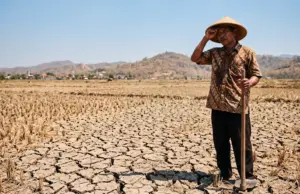 Suhu Panas Semakin Ekstrem Melanda Indonesia, Benarkah Sepenuhnya Ulah El Nino Ini Faktanya!