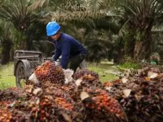 Peringati Hari Tani, PalmCo Dorong Kemandirian KUD Melalui Tata Kelola Sawit Berkelanjutan